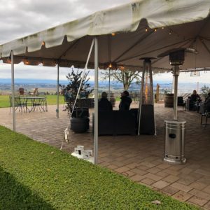 Durant Vineyard view under the tent