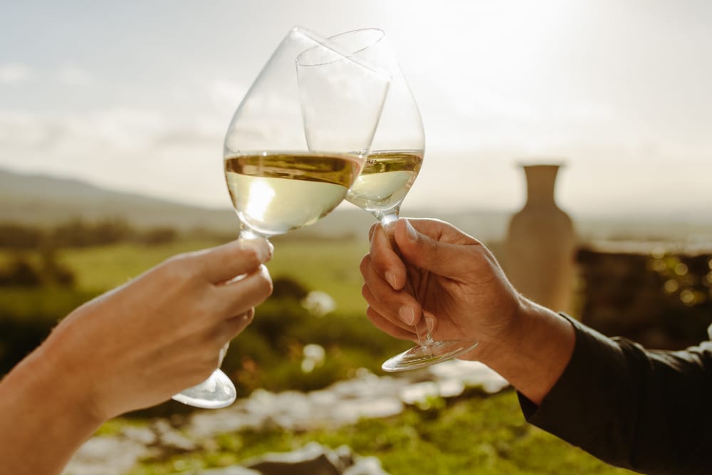 Toasting with glasses of white wine at one of the best wineries in Willamette Valley